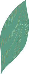 Green leaf gold line art illustration