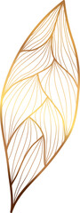 Gold line art leaf illustration