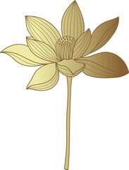 golden lotus