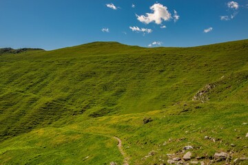 Fototapeta na wymiar Mountain path through the pastures