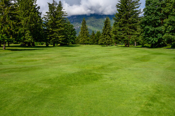 Lush green fairway on an alpine golf course, as a sports background
