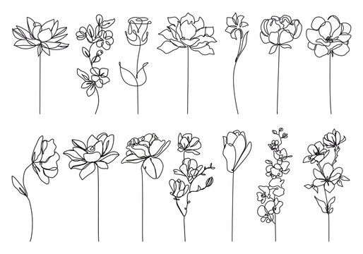 Flowers Line Drawing Set. Abstract Line Art of Flowers in Modern Linear Style. Vector Drawing of Simple Flowers For Beauty Logo Design, Printing, T-shirts, Postcard, Poster 