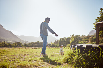 Man training dog pets at park, garden and outdoors on a leash with sky background. Black man walking a jack russell terrier puppy animal and learning trick, command or play on grass field in nature