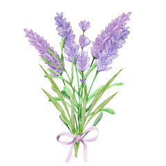 Obraz premium Watercolor set clipart Lavender Arrangement Clipart hand drawn