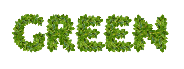 Green leaves in a shape of word GREEN isolated on white or transparent background