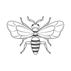wasp insect animal