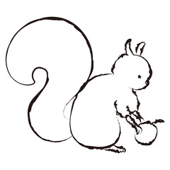 木の実を持っている可愛いリスの手描きイラスト
