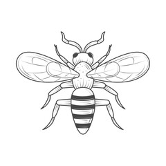 insect animal icon
