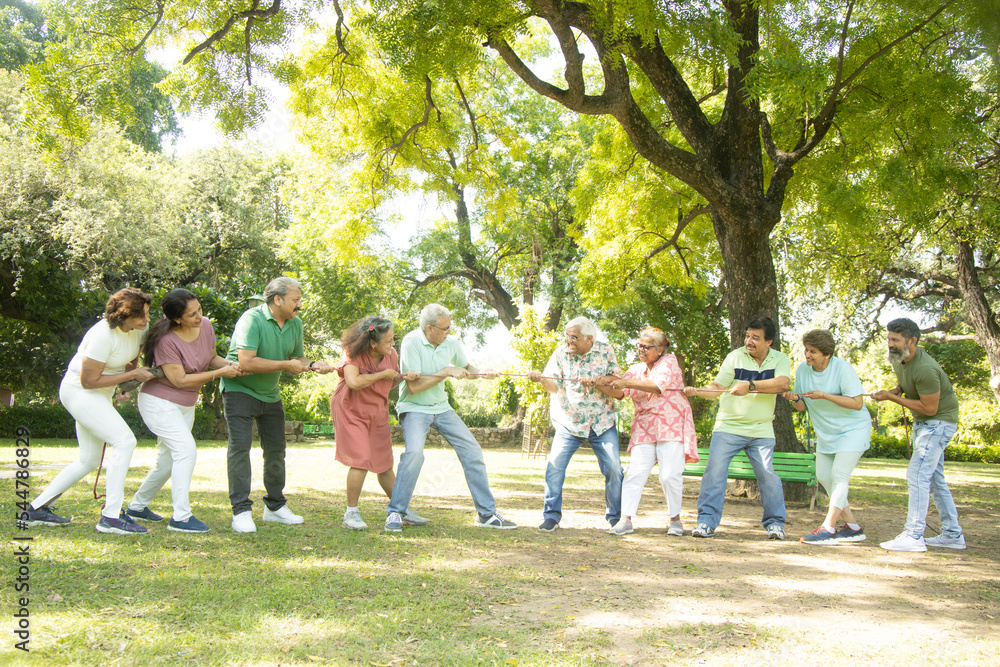 Wall mural group of senior indian people playing tug war outdoor in park. retirement life.