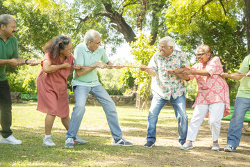 Fototapeta premium Group Of Senior Indian People Playing Tug War Outdoor In Park. Retirement life.