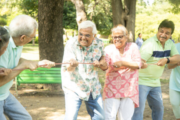 Group Of Senior Indian People Playing Tug War Outdoor In Park. Retirement life.
