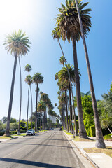 Fototapeta na wymiar Beverly Hills street with tall palm trees