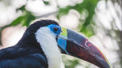 動物園の動物