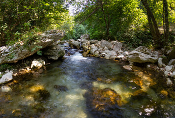 Tusciano river forest scenery in cilento