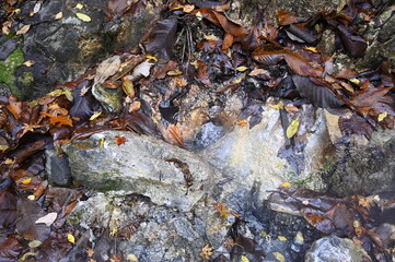 鳴子温泉・おにこうべ