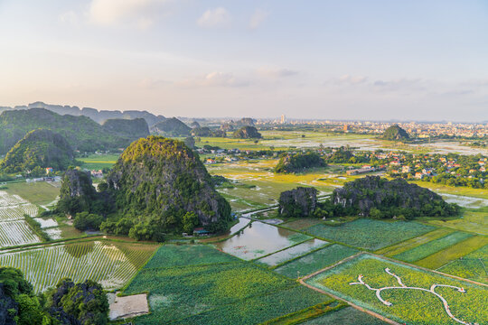 Aerial panoramic sunset view of landscapes and lotus fields in Ninh Binh, Vietnam