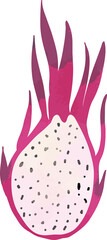 dragon fruit watercolor