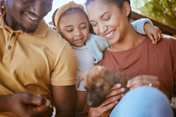 Black family dog, child and parents with pet, new puppy or black people play with happy family...