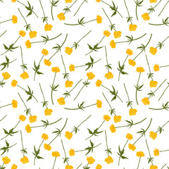 seamless pattern with yellow globeflowers, wild flowers, vector drawing wild plants at white background, flowering meadow , hand drawn botanical illustration
