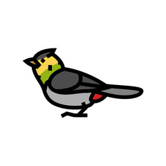 darnauds barbet bird exotic color icon vector. darnauds barbet bird exotic sign. isolated symbol illustration
