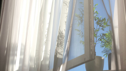 transparent curtain on the window, gently moved by the wind. sunlight. sun's rays shine through the...