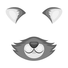 Animal face mask of gray cunning raccoon for video and photo. Vector illustration of selfie filters with ears and nose. Cartoon funny muzzle isolated on white
