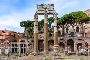 Foto op Canvas Tempel van Venus Genetrix-kolommen in Forum Romanum, Rome, Italië © Mistervlad