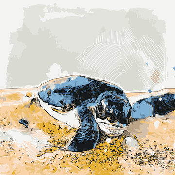 Baby Sea Turtle drawing quick sketch painting illustration vector art wildlife hand painting portrait