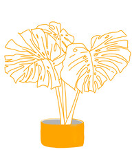 flower in a vase,Monstera plant indoor plant clipart for background use 