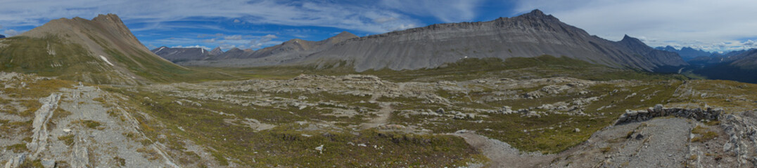 Fototapeta na wymiar Landscape on Wilcox Pass in Jasper National Park,Alberta,Canada,North America 