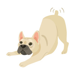 Cute French bulldog playful tail wags, cartoon illustration. Funny and adorable puppy lying on back, sitting and playing on white background