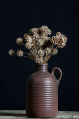 Beautiful Scabiosa seed pods, a bouquet in vintage teapot.
