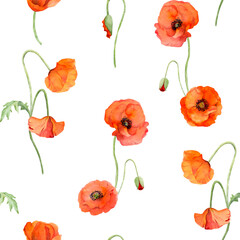 Watercolor seamless pattern with hand drawn summer bright red poppy flowers. Isolated on white background. Design for invitations, wedding, love or greeting cards, paper, print, textile