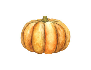 Pumpkin. Watercolor illustration.