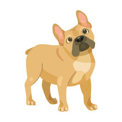 Cute French bulldog waiting for command, cartoon illustration. Funny and adorable puppy lying on back, sitting and playing on white background