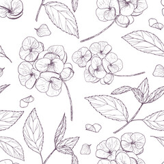 Fototapeta premium Floral contour drawing on a white background. Hydrangea inflorescences, leaves and twigs, seamless pattern. Vector.