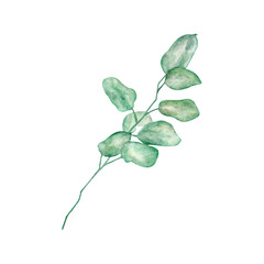 Green leaf - for bouquets, wreaths, arrangements, wedding invitations, anniversary, birthday, postcards, greetings, cards, logo. Watercolor floral illustration.