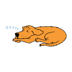 Illustration of cute dog dachshund. Nice puppy for greeting card, pet shop or veterinary clinics. Dog of breed dachshund. Vector dog illustration for greeting card. Dog dachshund sleep