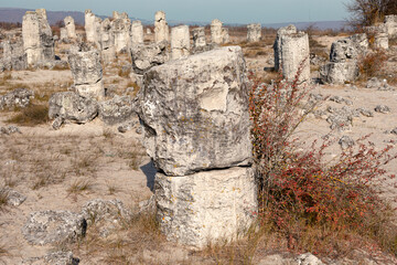 Stone forest in Bulgaria. Natural attraction in a small desert. Artifact of an ancient geological phenomenon.