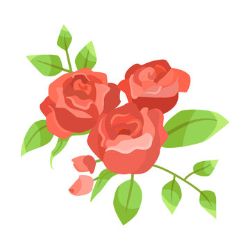 Blossoming red rose branch, cartoon illustration. Rose rosebuds with green leaves, bouquets isolated on white background
