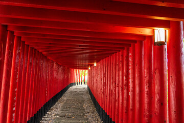 神徳稲荷神社の赤鳥居