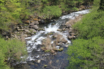 浅い川のある風景