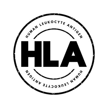 HLA Human Leukocyte Antigen - complex of genes on chromosome 6 in humans which encode cell-surface proteins, acronym text stamp concept background