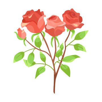 twig with leaves, flower red Blossoming rose branch, cartoon illustration. Rose rosebuds with green leaves, bouquets isolated on white background