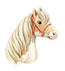 Watercolor vintage  cute animal red horse head with smile isolated on white background. Hand drawn illustration sketch © Mimomy