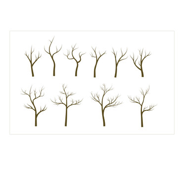 set of bare tree without leaves