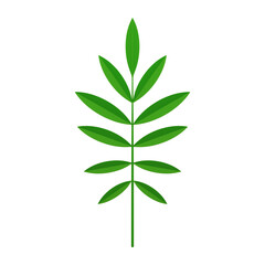 Green tropical branch vertical ecology environment rainforest plant realistic 3d icon