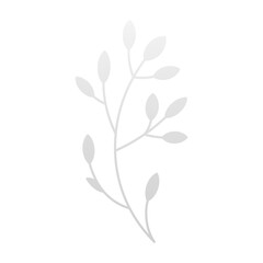 Tree branch white elegant botanical blossom plant with stem leaves 3d icon realistic