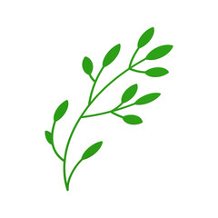 Fototapeta premium Green curved tree branch with leaves and stem ecology decor element 3d icon realistic