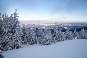 magical frozen winter landscape with snow covered fir trees